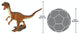 Velociraptor Scaled Dinosaur Statue