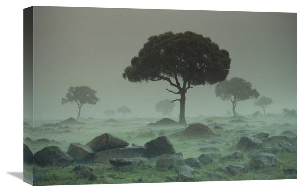 "Rain Storm On The Serengeti Plains, Kenya" Artwork, 24" x 16"