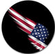 Wing With American Flag, Digital Art Disc Metal Wall Art, 38"