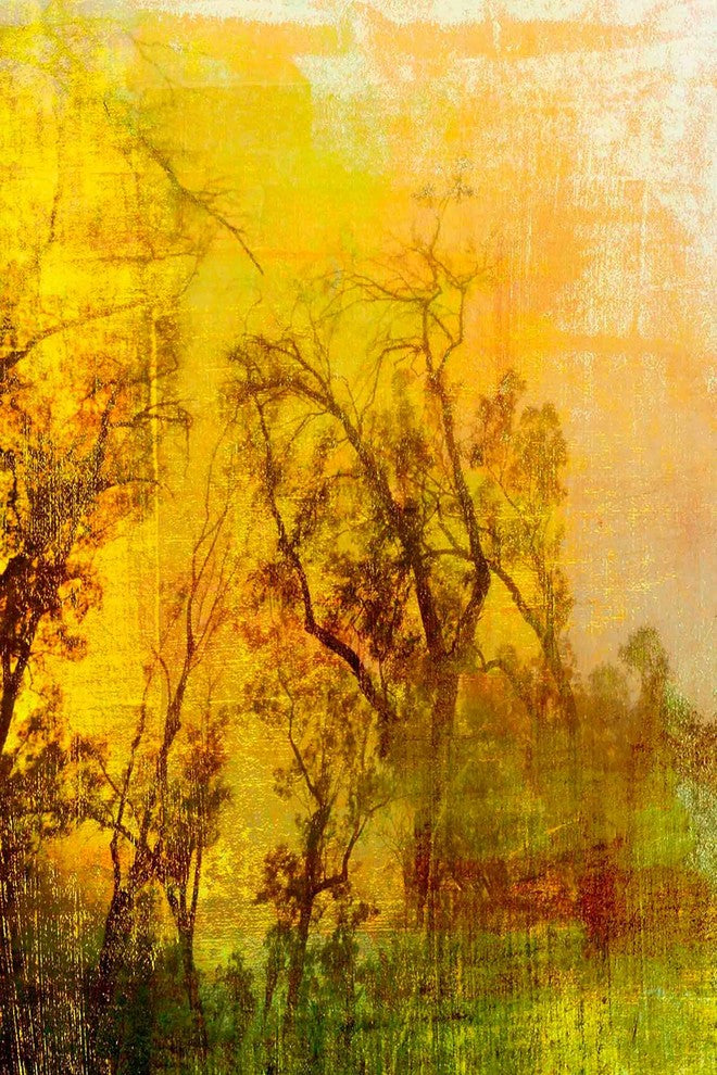 "Griffith Park III" Painting Print on Canvas by Aryai