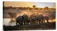 "Elephant Huddle" Stretched Canvas Giclee by Simon Van Ooijen, 22"x13"