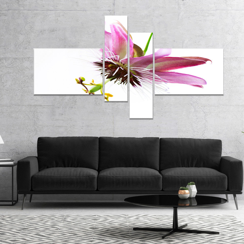 Passiflora Flower over White, Large Animal Canvas Art Print, 60"x32", 4 panels