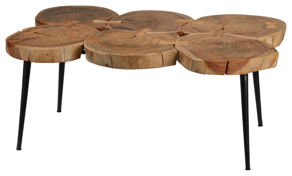 Bare Decor Tucker Metal and Wood Coffee Table