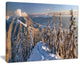 "Winter Carpathians Panoramic View" Landscape Wall Art, 20"x12"