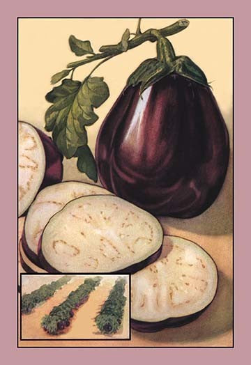 Eggplant- Fine Art Giclee Print 24" x 36"