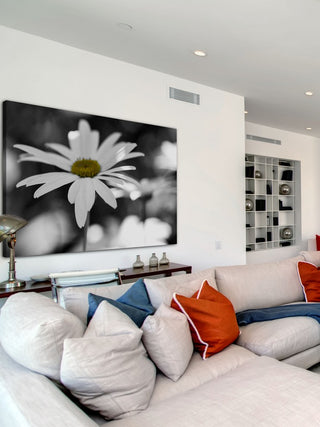 "Sun Speckled Daisy" Painting Print on Canvas