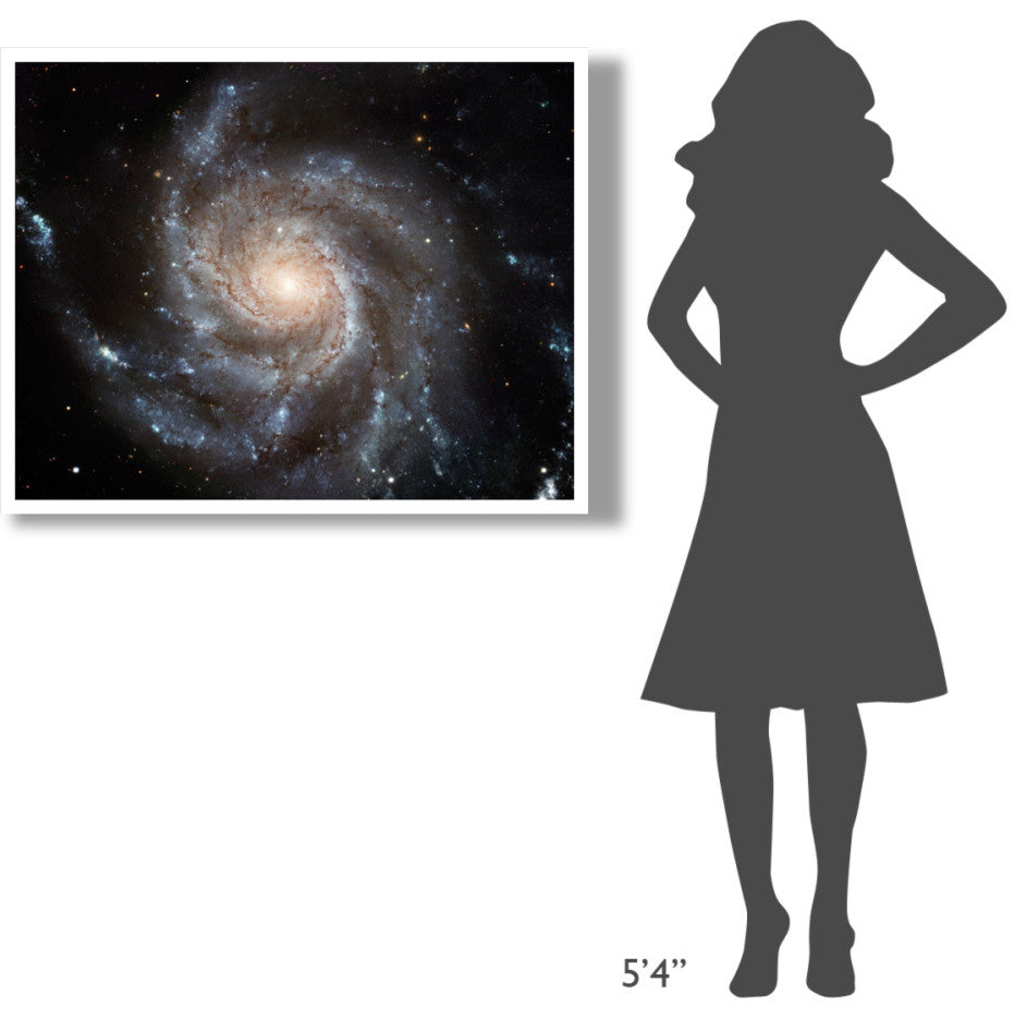 "Messier 101 (M101)" Digital Paper Print by NASA, 42"x32"
