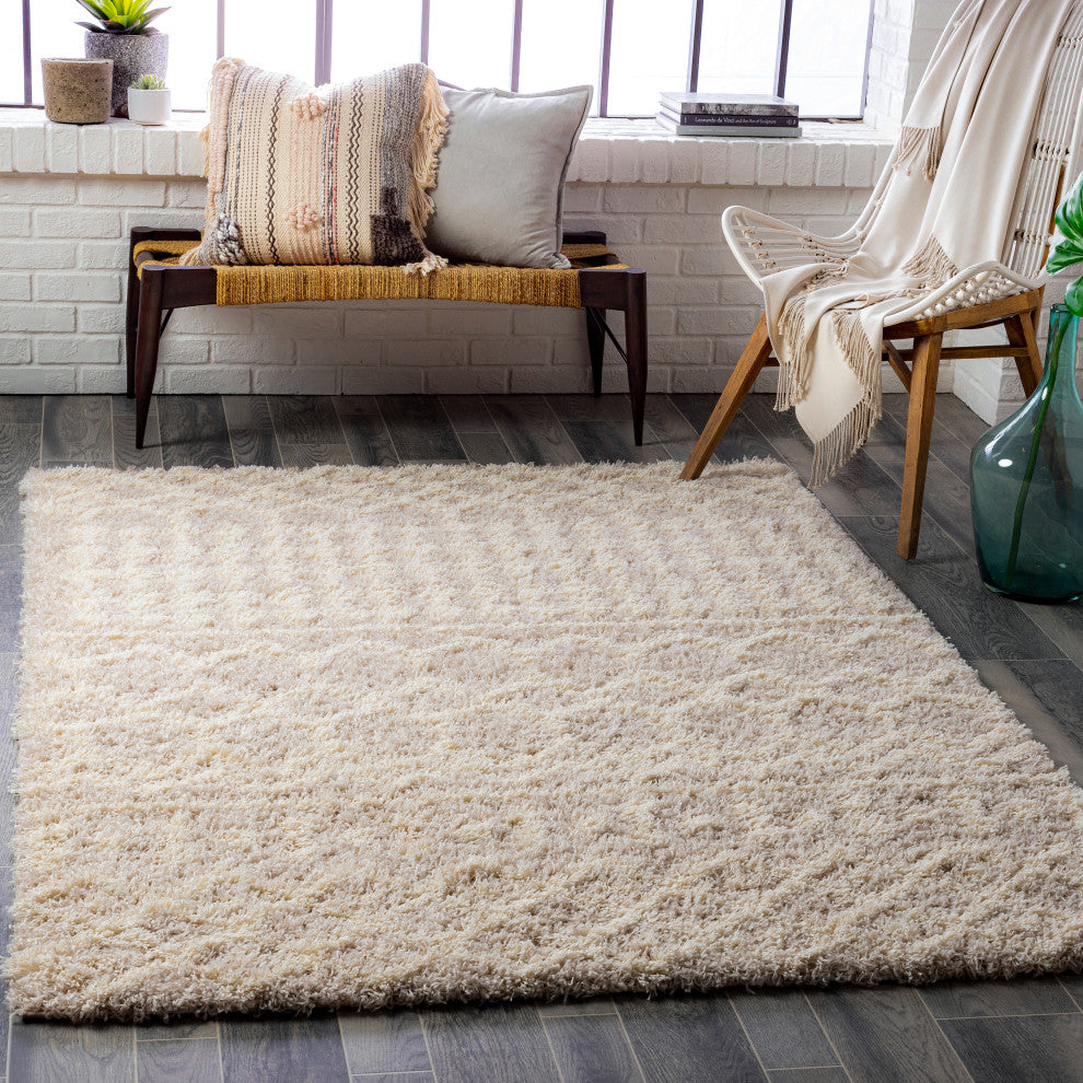 Urban Shag USG-2303 Contemporary Tan/Cream 2'x2'11" Area Rug