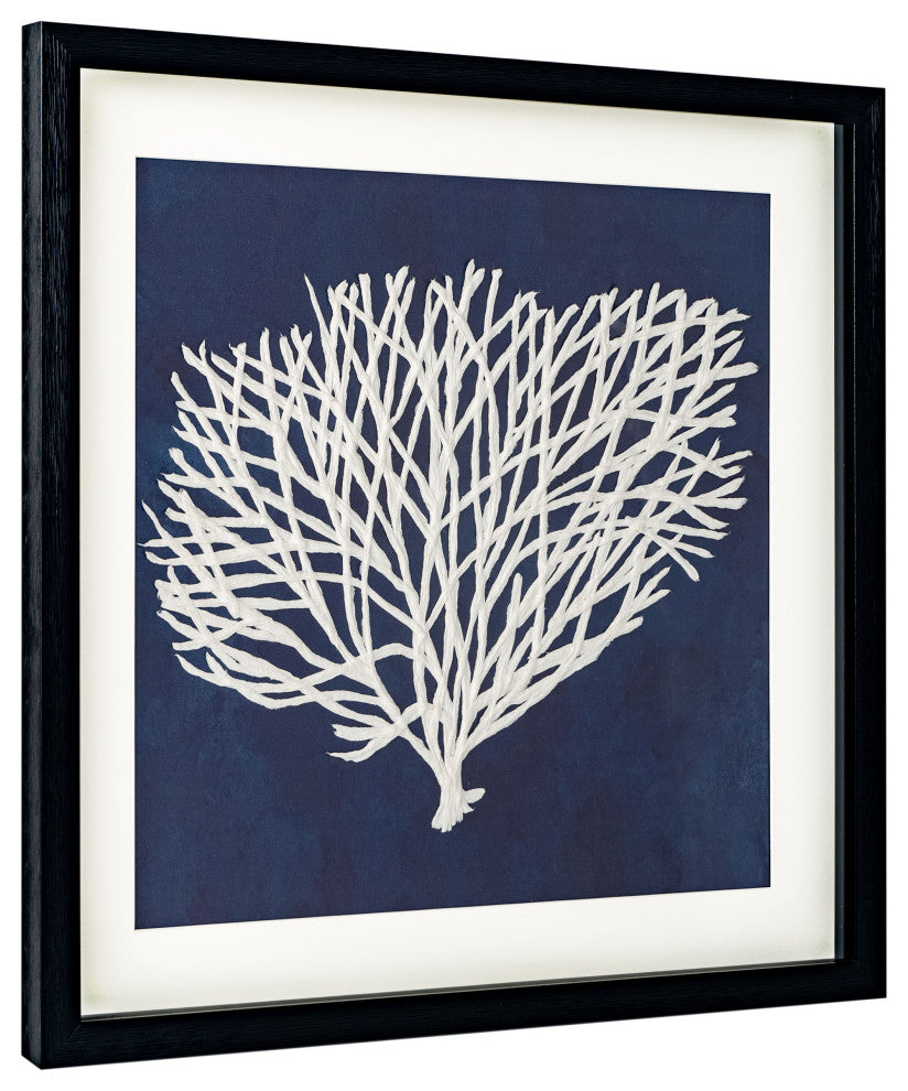 Sea Fan, Shadow Box, Sea Fan 2