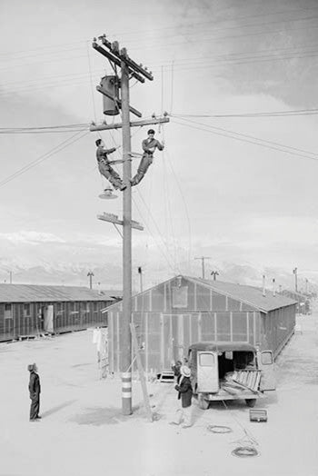 Line Crew at Work in Manzanar- Framed Paper Poster 20" x 30"