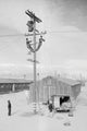 Line Crew at Work in Manzanar- Framed Paper Poster 20" x 30"
