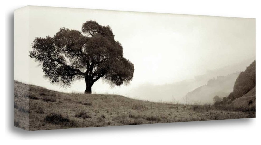 "Black Oak - 1" By Alan Blaustein, Giclee Print on Gallery Wrap Canvas