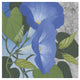 "Morning Glorious II Silver" Digital Paper Print by Kathrine Lovell, 26"x26"