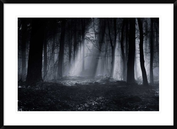 "Capela Forest" Framed Digital Print by Julien Oncete, 38"x28"