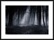 "Capela Forest" Framed Digital Print by Julien Oncete, 38"x28"