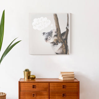 Baby Koala 20x20 Canvas Wall Art