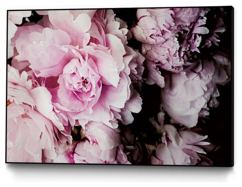 "Peonies Galore I" Museum Mounted Canvas Print, 20"x16"