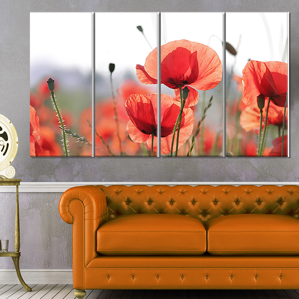 Soft Poppy Flowers Petals View, Floral Canvas Art Print, 48"x28", 4 Panels