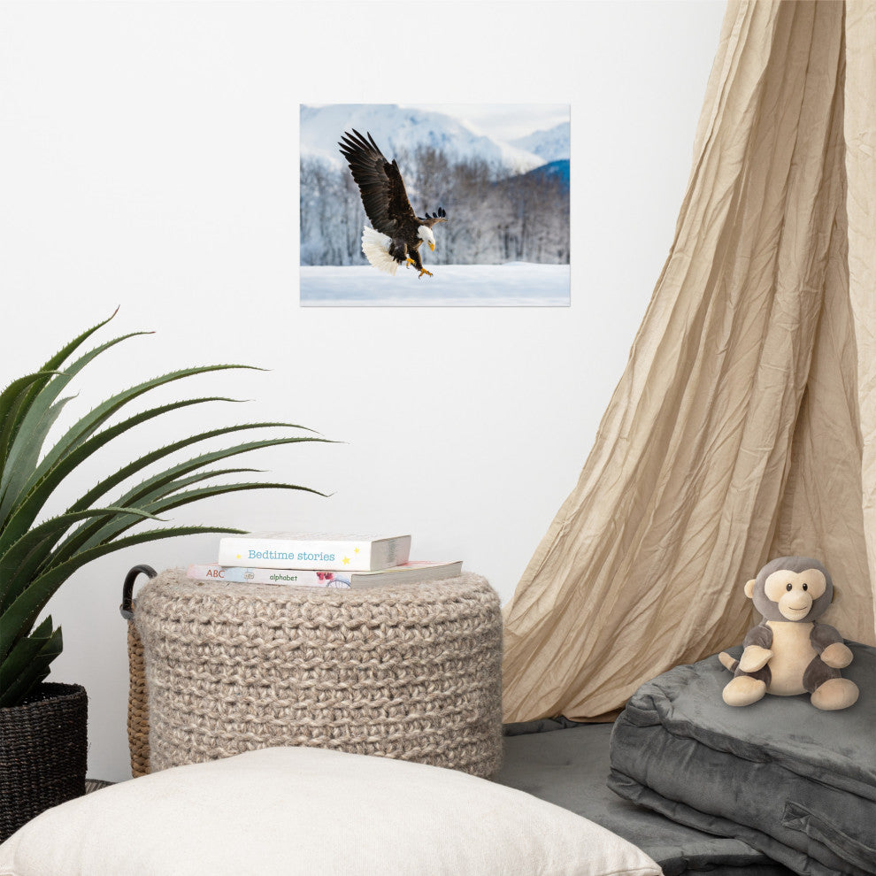 Adult Bald Eagle Alaskan Winter Animal Wildlife Photograph Loose Wall Art Print, 12" X 16"