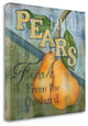 "Local Pears" By Kim Lewis, Giclee Print on Gallery Wrap Canvas, Ready to Hang