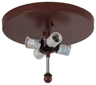 22 Wide Cowboy Flushmount