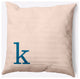 20" x 20" Modern Monogram Indoor/Outdoor Polyester Throw Pillow, Autumn Blue