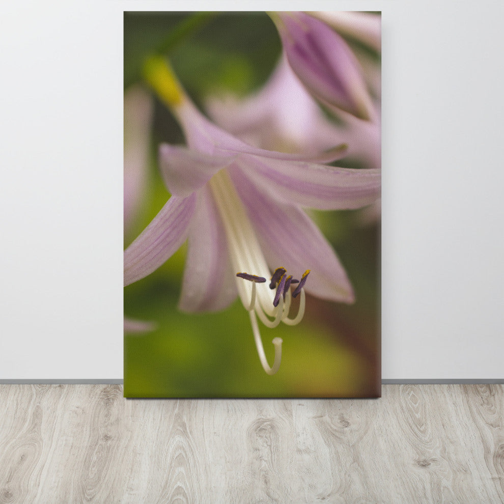Close-up Hosta Bloom Floral Nature Photo Canvas Wall Art Print, 24" X 36"