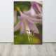Close-up Hosta Bloom Floral Nature Photo Canvas Wall Art Print, 24" X 36"