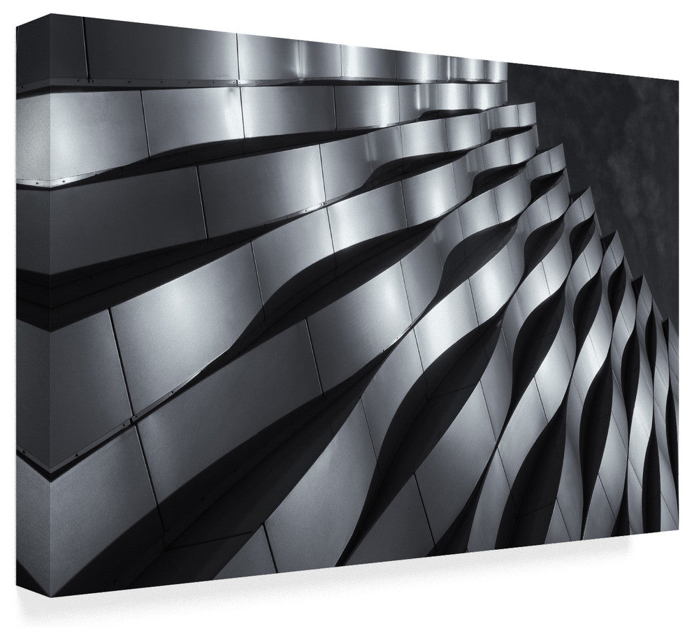 Jeroen Van De 'Waving Silver' Canvas Art, 47"x30"