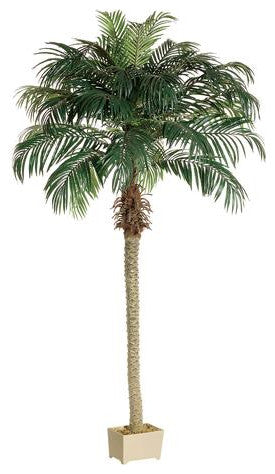 Silk Plants Direct Phoenix Palm Tree - Green - Pack of 2