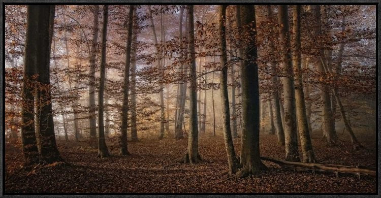 "Autumn" Framed Canvas Giclee by Norbert Maier, 31x16"