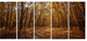 Sunset in Yellow Autumn Forest, Modern Forest Canvas Art, 60"x28", 5 Panels