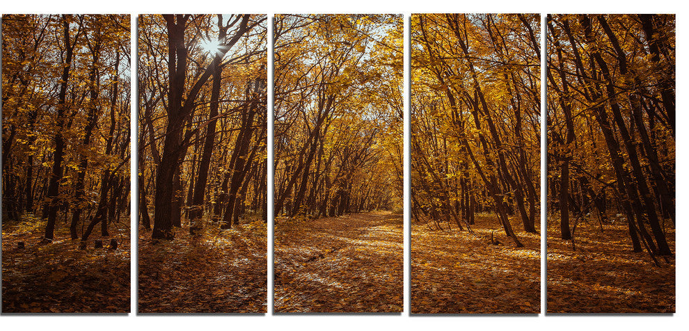 Sunset in Yellow Autumn Forest, Modern Forest Canvas Art, 60"x28", 5 Panels