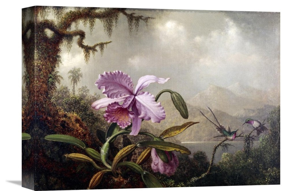 "Hummingbirds and Orchids" Canvas Giclee by Martin Johnson Heade, 16"x12"
