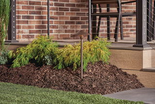 Textured Architectural Bronze 21" Cone Path and Spread 1-Light 12V, Pack of 6