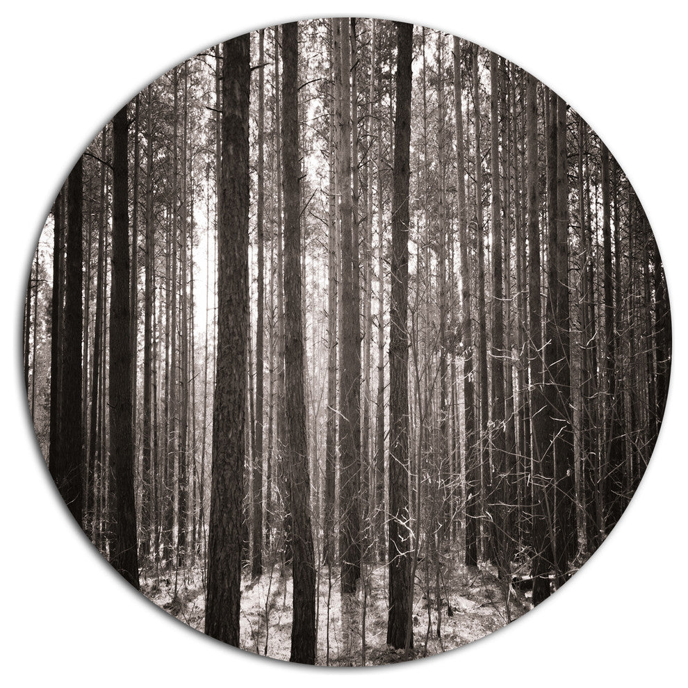 Beautiful Misty Forest In The Autumn, Forest Round Wall Art, 23"