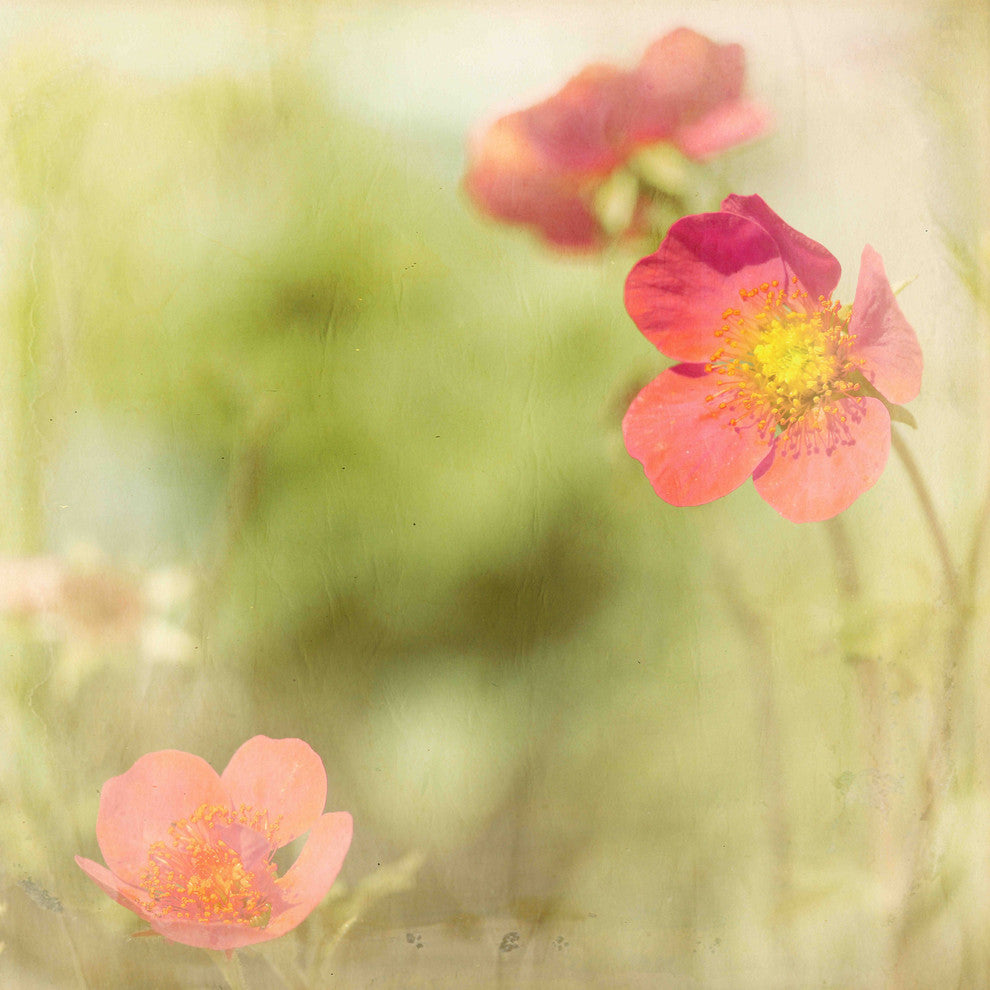 "Right There" Painting Print on Canvas by Jorgensen