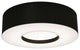 Montclair 19'' Fixture Light, Black, Flush Mount