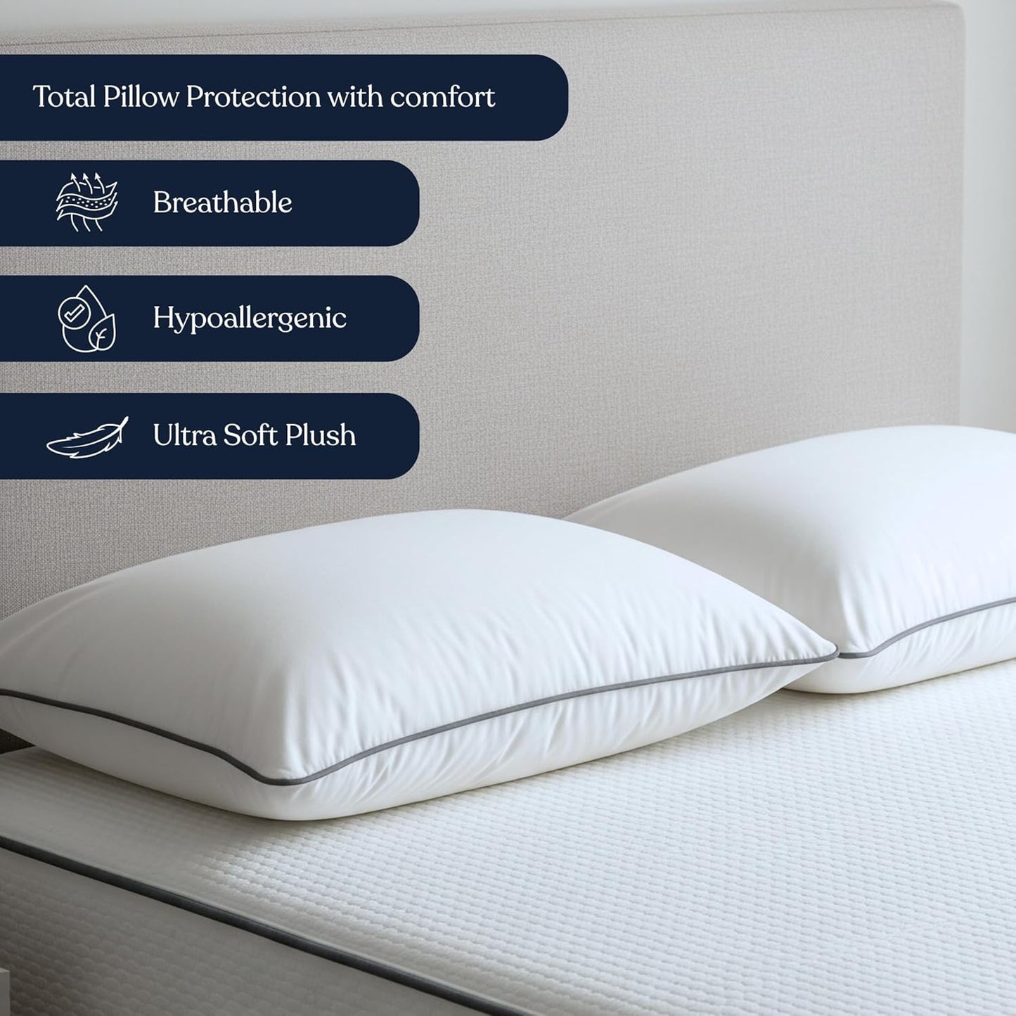 Delara Pillow Protector Set of 2, 300TC, Long Staple Organic Cotton, Queen, 21"x30"