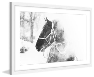 Marmont Hill, "Cold Breath" Framed Painting Print, 36x24