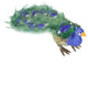 Colorful Regal Peacock Bird With Closed Tail Feathers Decoration, Green, 13"