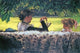 A Story Read - Gallery Wrapped Canvas Art 28" x 42"