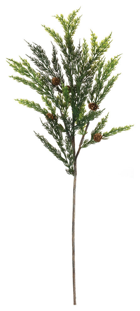 Pine Spray, Set of 6
