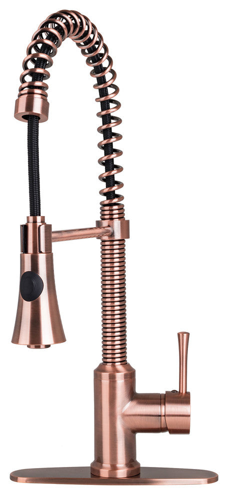 Brienza Residential Spring Pull Down Kitchen Faucet Deck Plate in Antique Copper