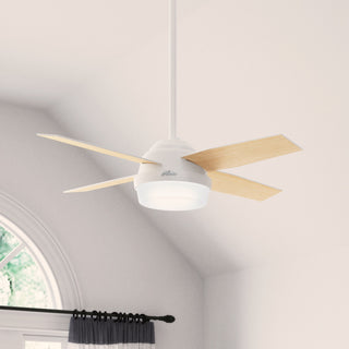 Hunter Fan Company 44" Dempsey Fresh White Ceiling Fan With Light/Remote