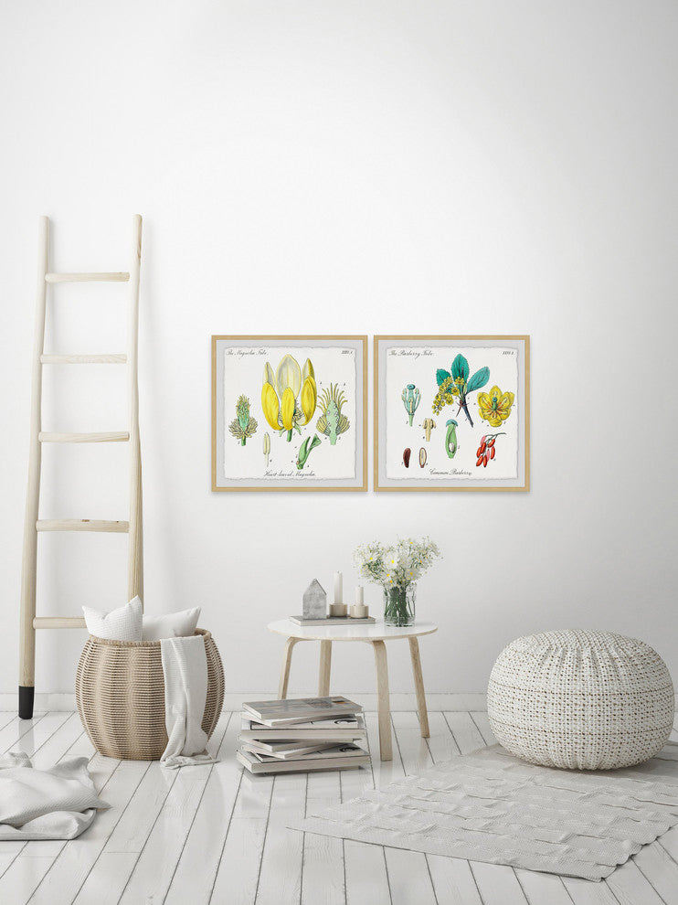 "Isn't Cute? Diptych" Framed Prints, 12"x12", 2-Piece Set
