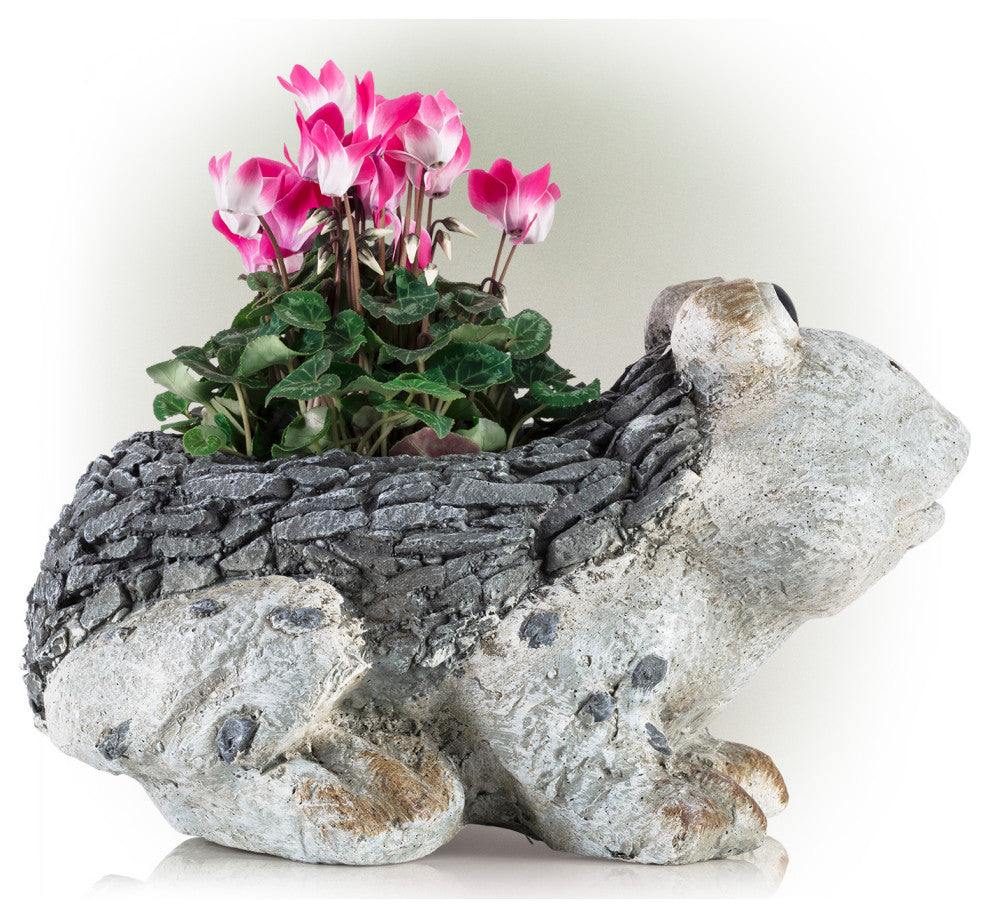 Frog Planter, 11"