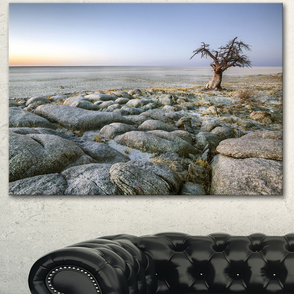 Baobab Tree on Rocky Terrain, Large Landscape Canvas Art, 40"x30"