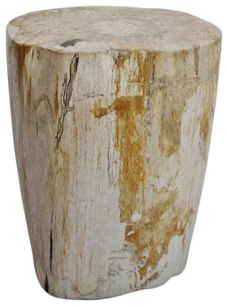 Petrified Stump Side Table / Stool