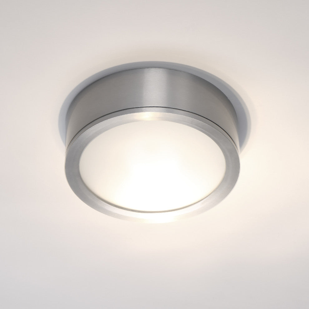 WAC Lighting Tube 12" Indoor or Outdoor LED Flush Mount, Brushed Aluminum